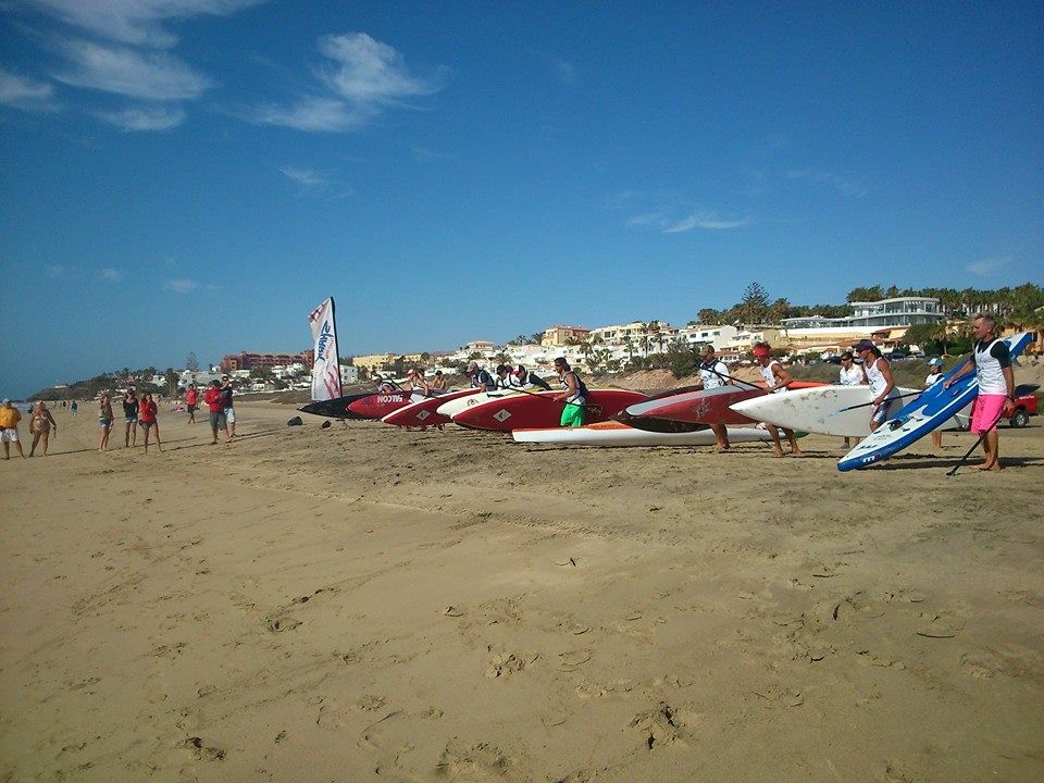 1491659_300601830106062_2276425049146632844_n